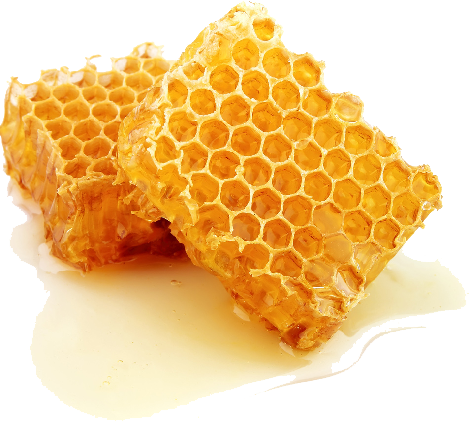 fresh-royal-jelly-250g-thepprasit-honey-online-shopping-malaysia