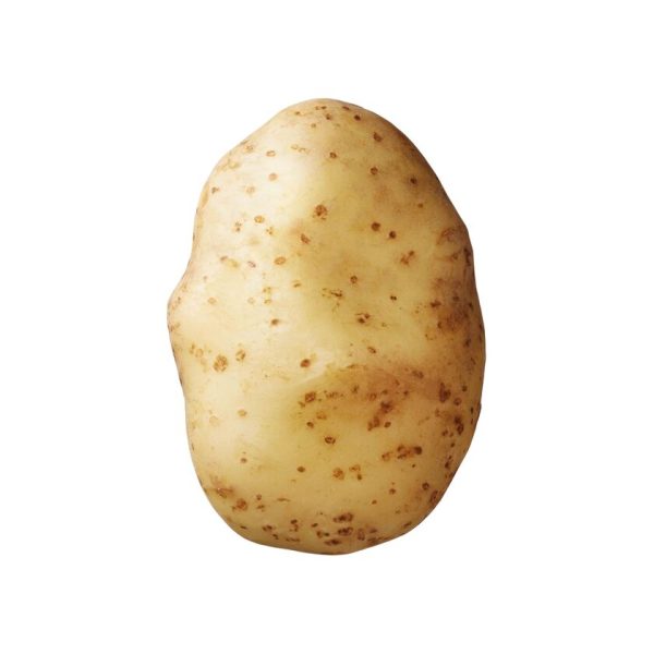 Dutch Bintje Potato Supplier