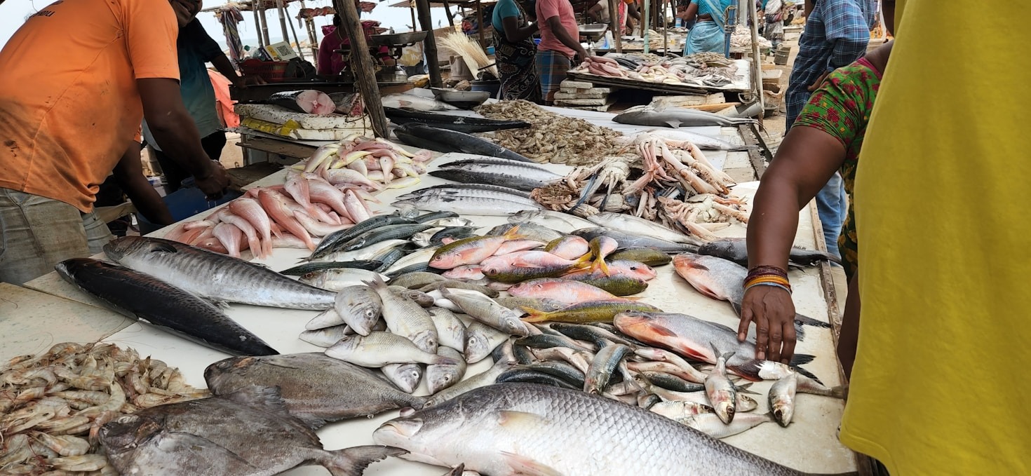 Maintaining Quality in Diverse Food Product Exports