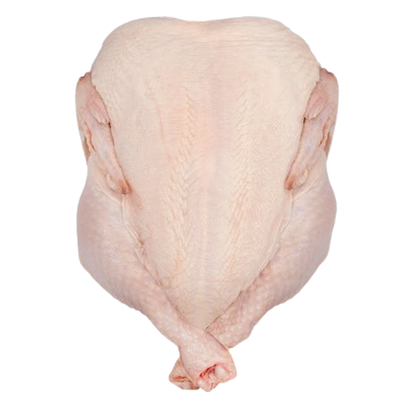 Fresh whole chicken displayed for frozen chicken product export to international markets catalog 