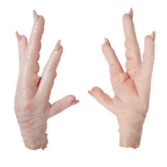 Frozen Chicken Feet Supplier for China